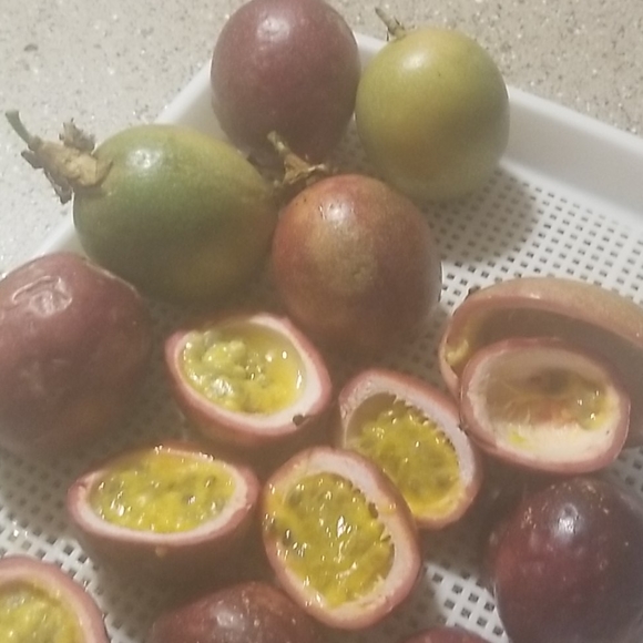 Passion fruit - Picture 2 of 3